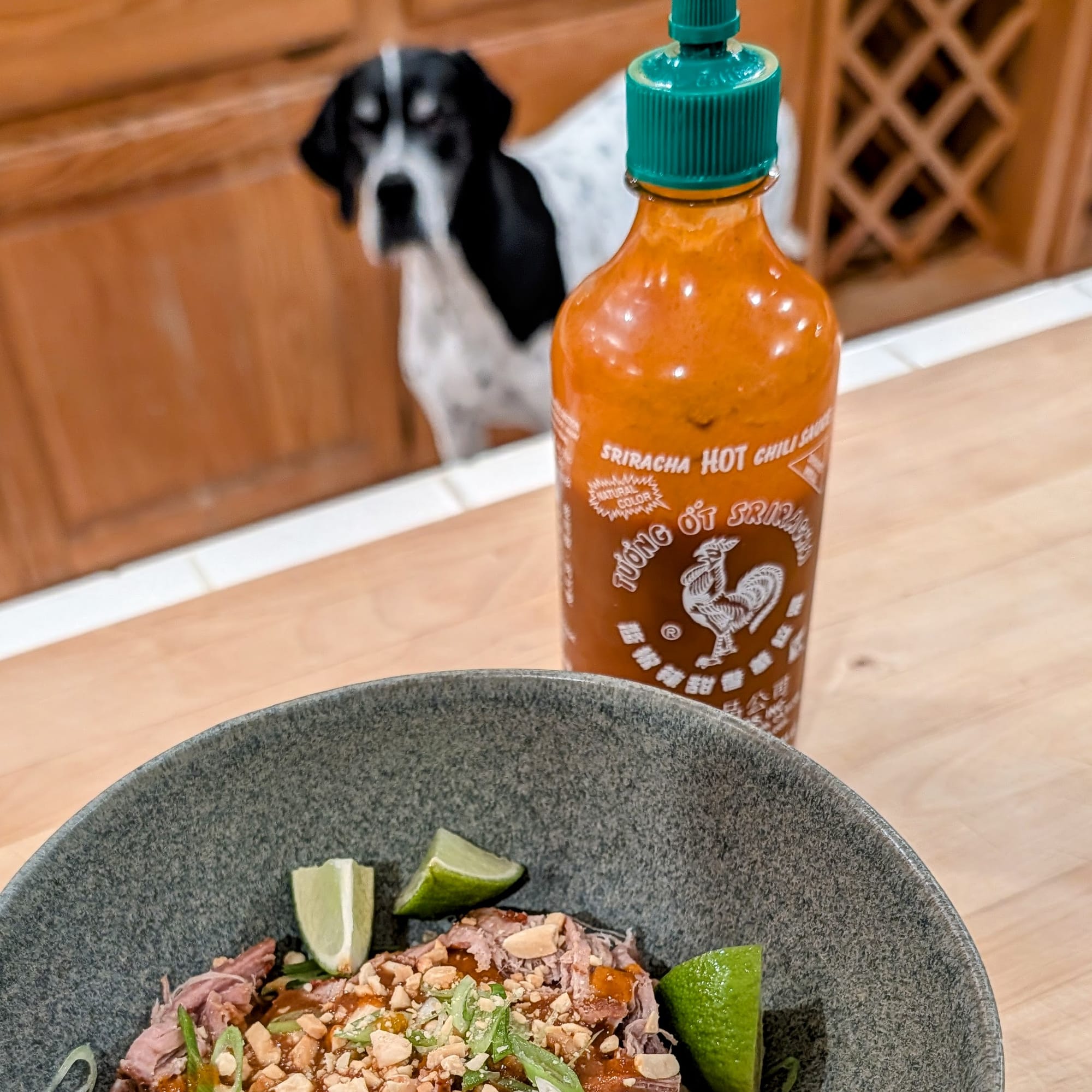 This pork is too spicy for my Pointer, Evie.  But she still sneaks into the picture background.